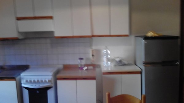 appartamento in affitto a Pisa