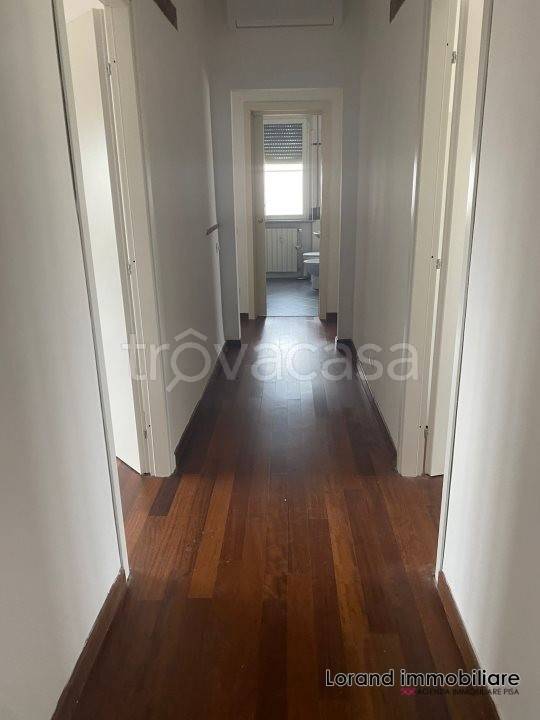 appartamento in affitto a Pisa in zona Quartiere San Giusto