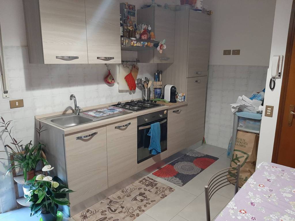 appartamento in affitto a Pisa in zona Porta a Lucca