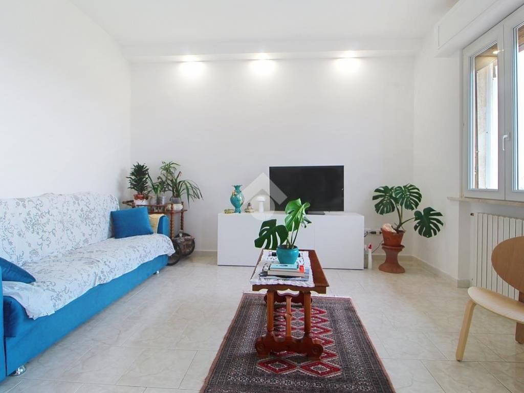 appartamento in affitto a Pisa in zona Quartiere San Giusto