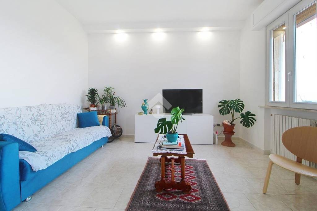 appartamento in affitto a Pisa in zona Quartiere San Giusto