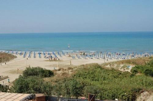appartamento in affitto a Pisa in zona Calambrone