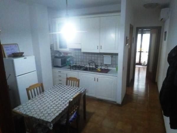 appartamento in affitto a Pisa
