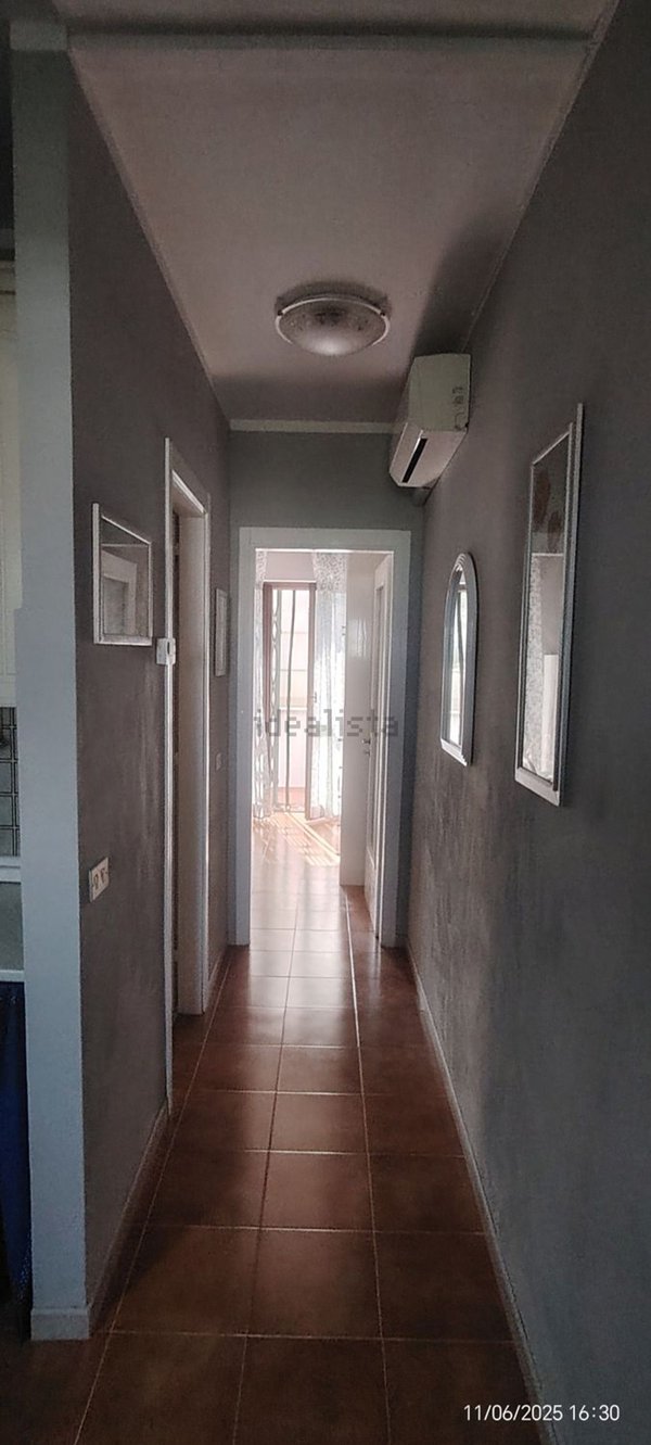 appartamento in affitto a Pisa