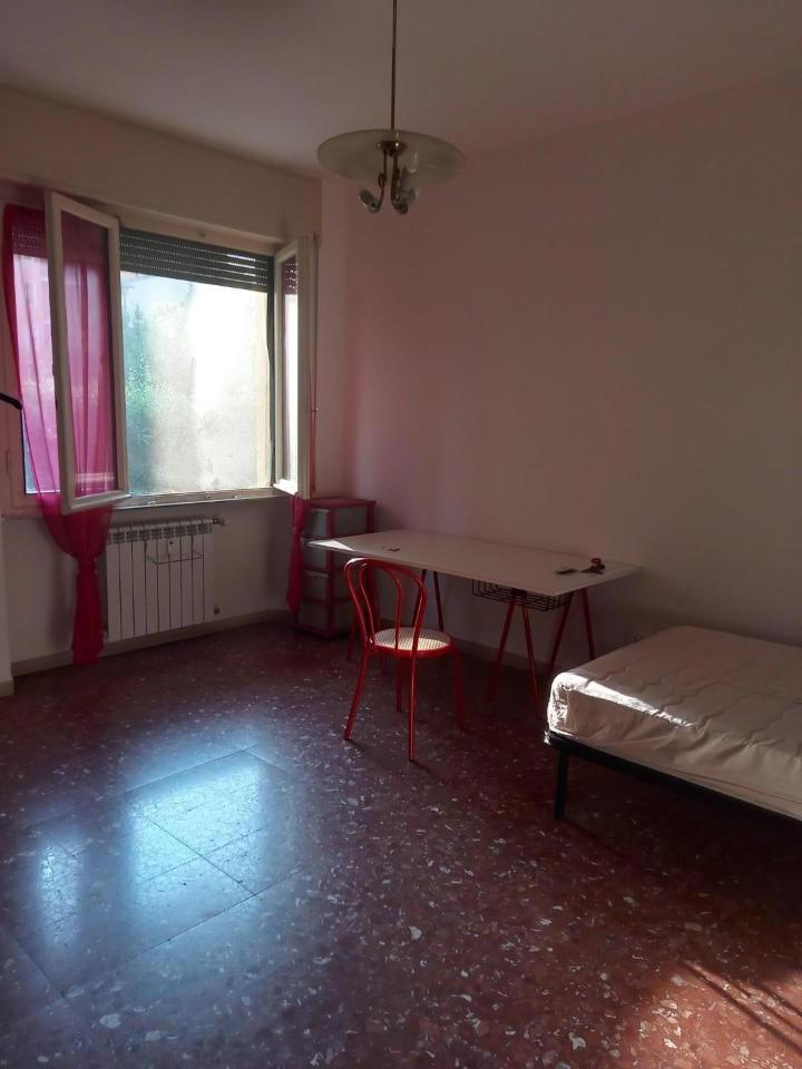 negozio in affitto a Pisa in zona Centro Storico