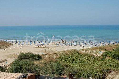 appartamento in affitto a Pisa in zona Calambrone