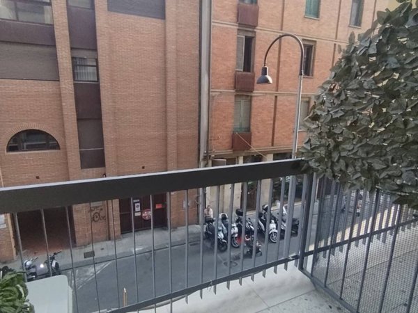 appartamento in affitto a Pisa