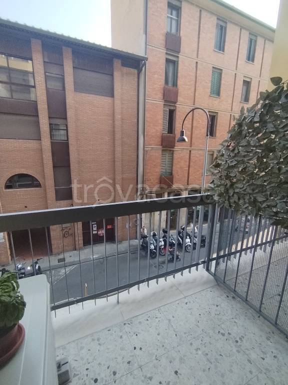 appartamento in affitto a Pisa in zona Quartiere San Martino