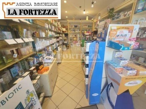 locale commerciale in affitto a Pisa in zona Quartiere San Giusto