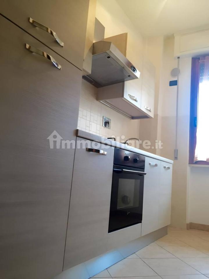 appartamento in affitto a Pisa in zona Porta a Lucca