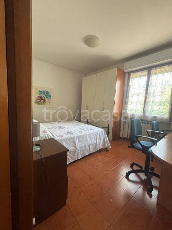 appartamento in affitto a Pisa