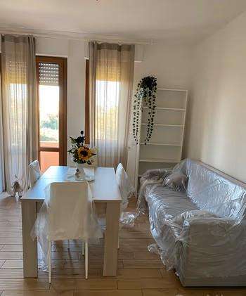 appartamento in affitto a Pisa