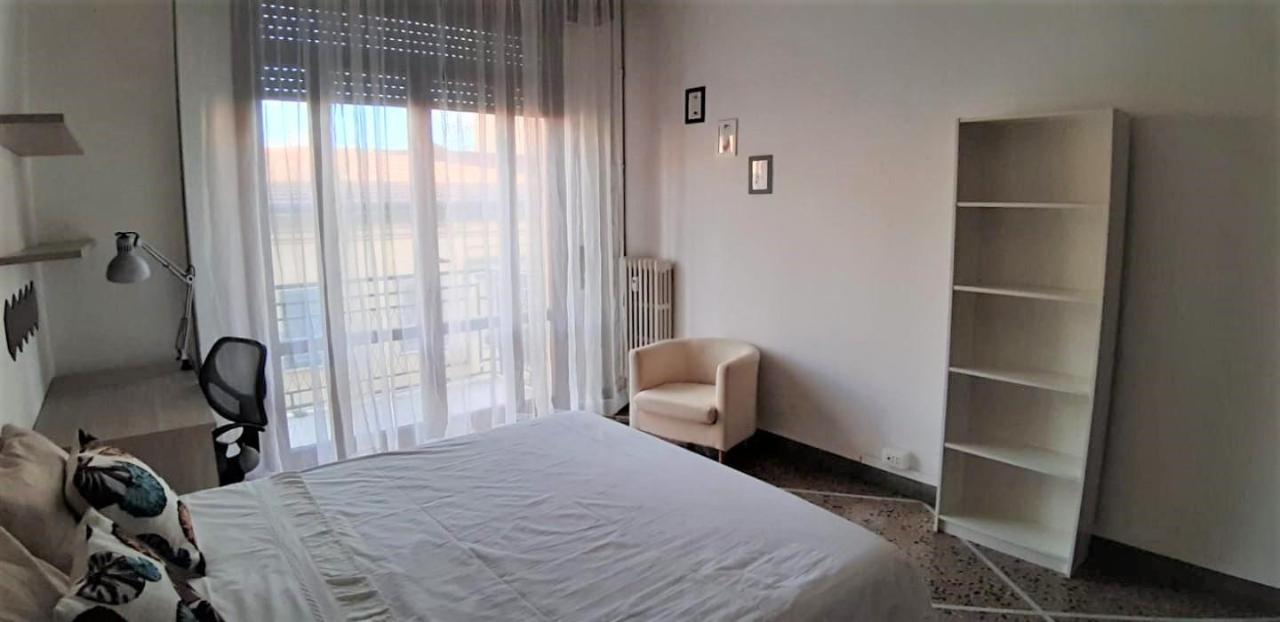 negozio in affitto a Pisa in zona Quartiere San Giusto