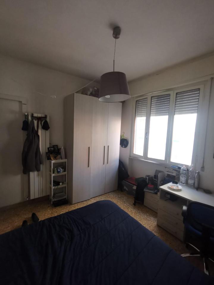 negozio in affitto a Pisa in zona Centro Storico