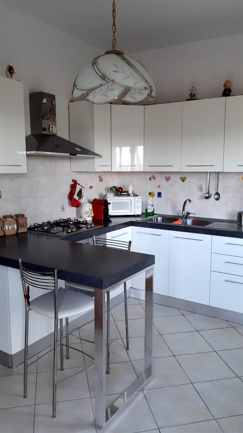 appartamento in affitto a Pisa