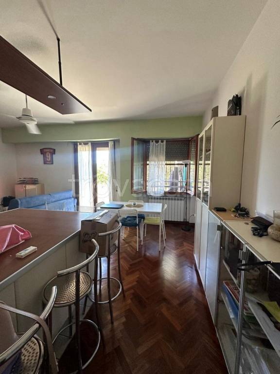 appartamento in affitto a Pisa