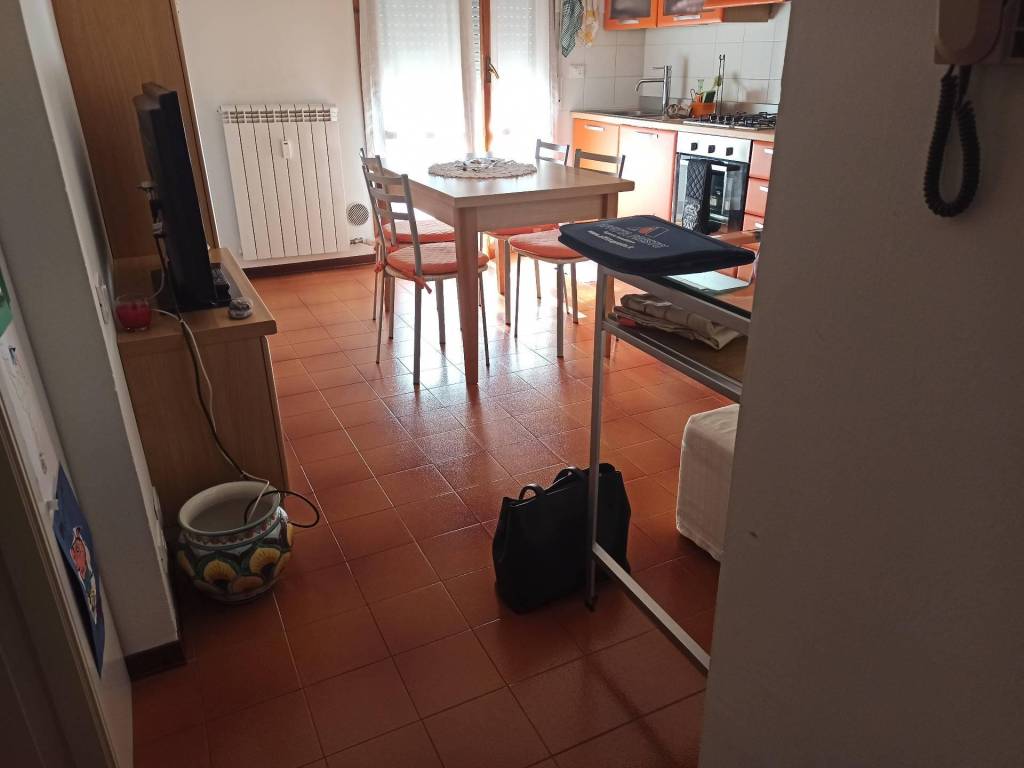 appartamento in affitto a Pisa in zona Cisanello