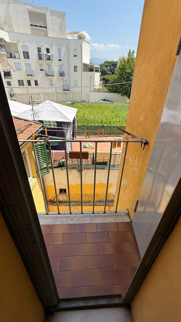 appartamento in affitto a Pisa
