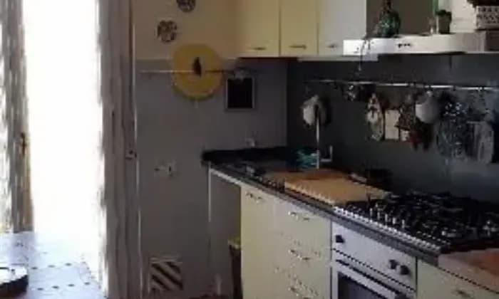 appartamento in affitto a Pisa in zona Quartiere San Giusto