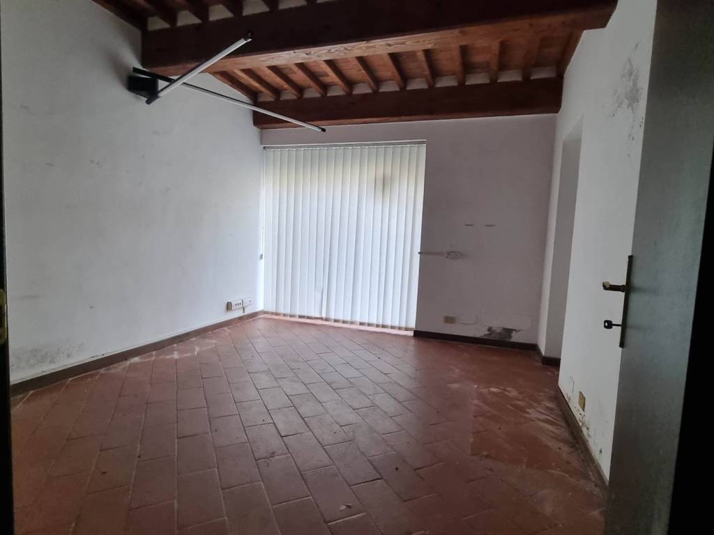 negozio in affitto a Pisa