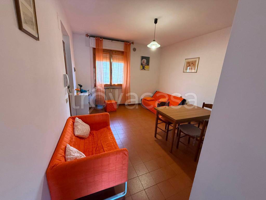 appartamento in affitto a Pisa in zona Cisanello