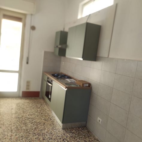 appartamento in affitto a Pisa