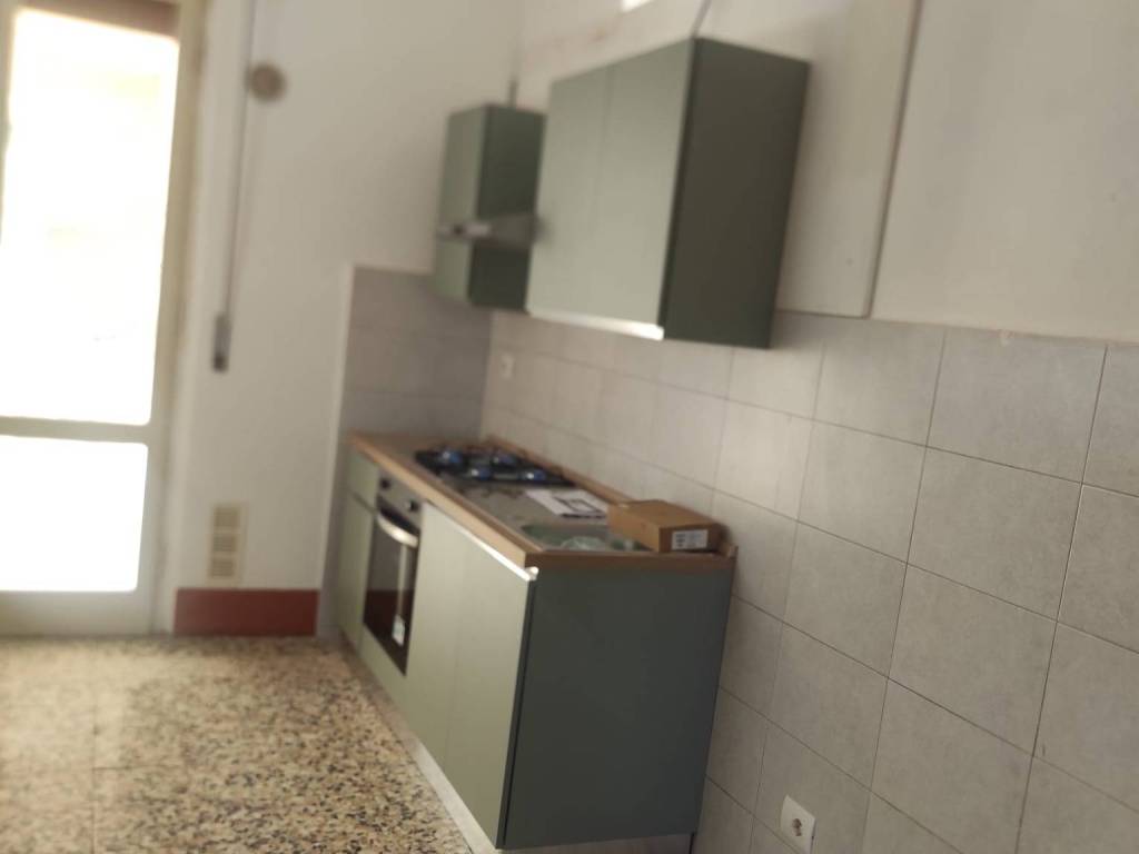 appartamento in affitto a Pisa