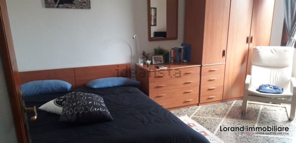 appartamento in affitto a Pisa in zona Ingegneria