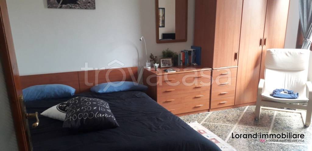 appartamento in affitto a Pisa in zona Ingegneria