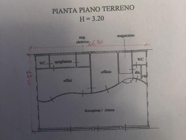 locale commerciale in affitto a Pisa
