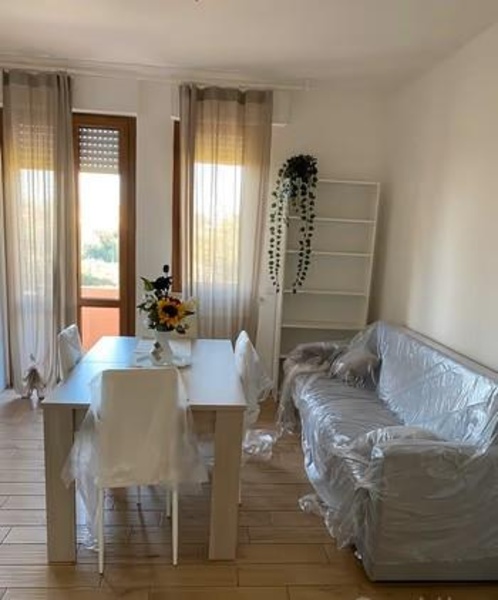 appartamento in affitto a Pisa