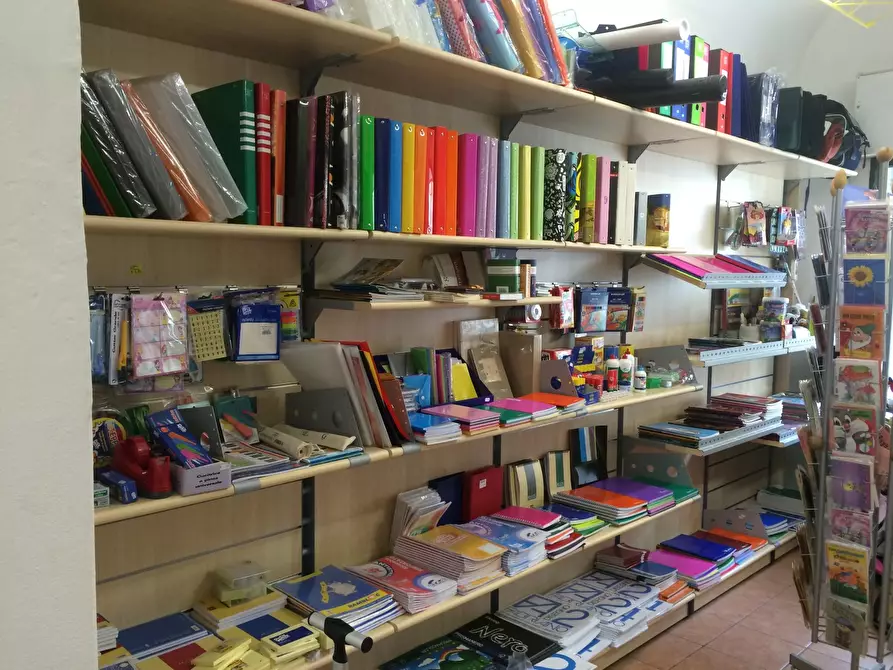 negozio in affitto a Pisa