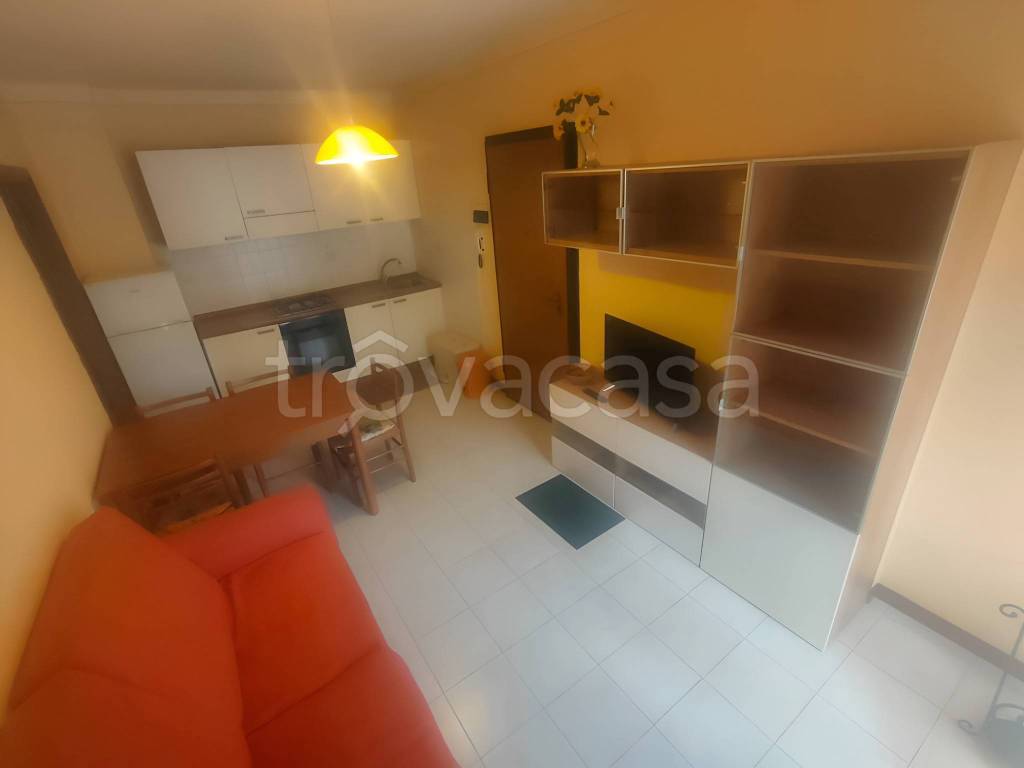 appartamento in affitto a Pisa