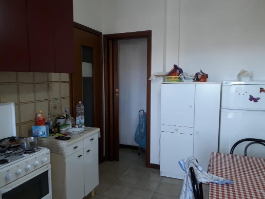 appartamento in affitto a Pisa