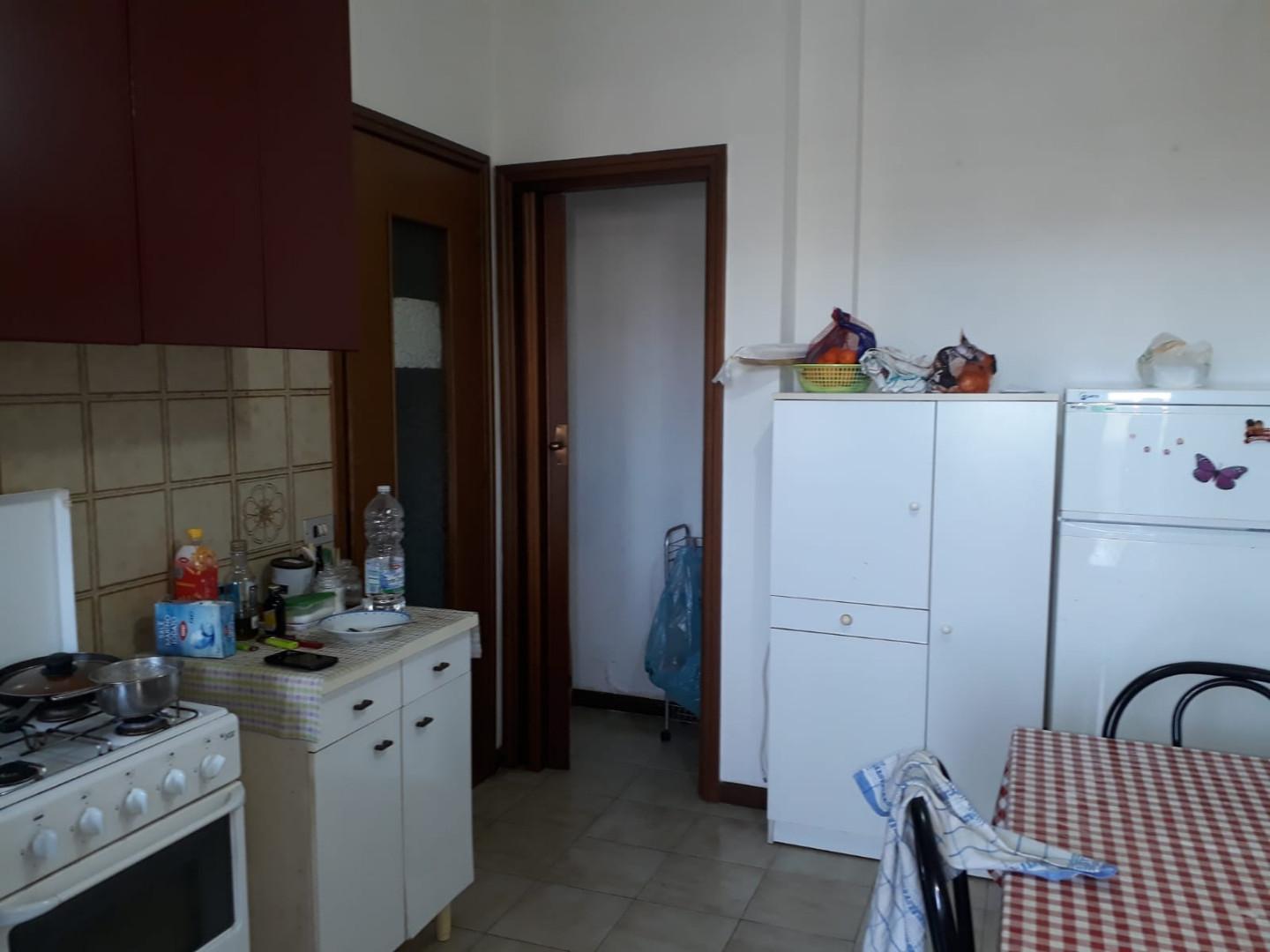 appartamento in affitto a Pisa
