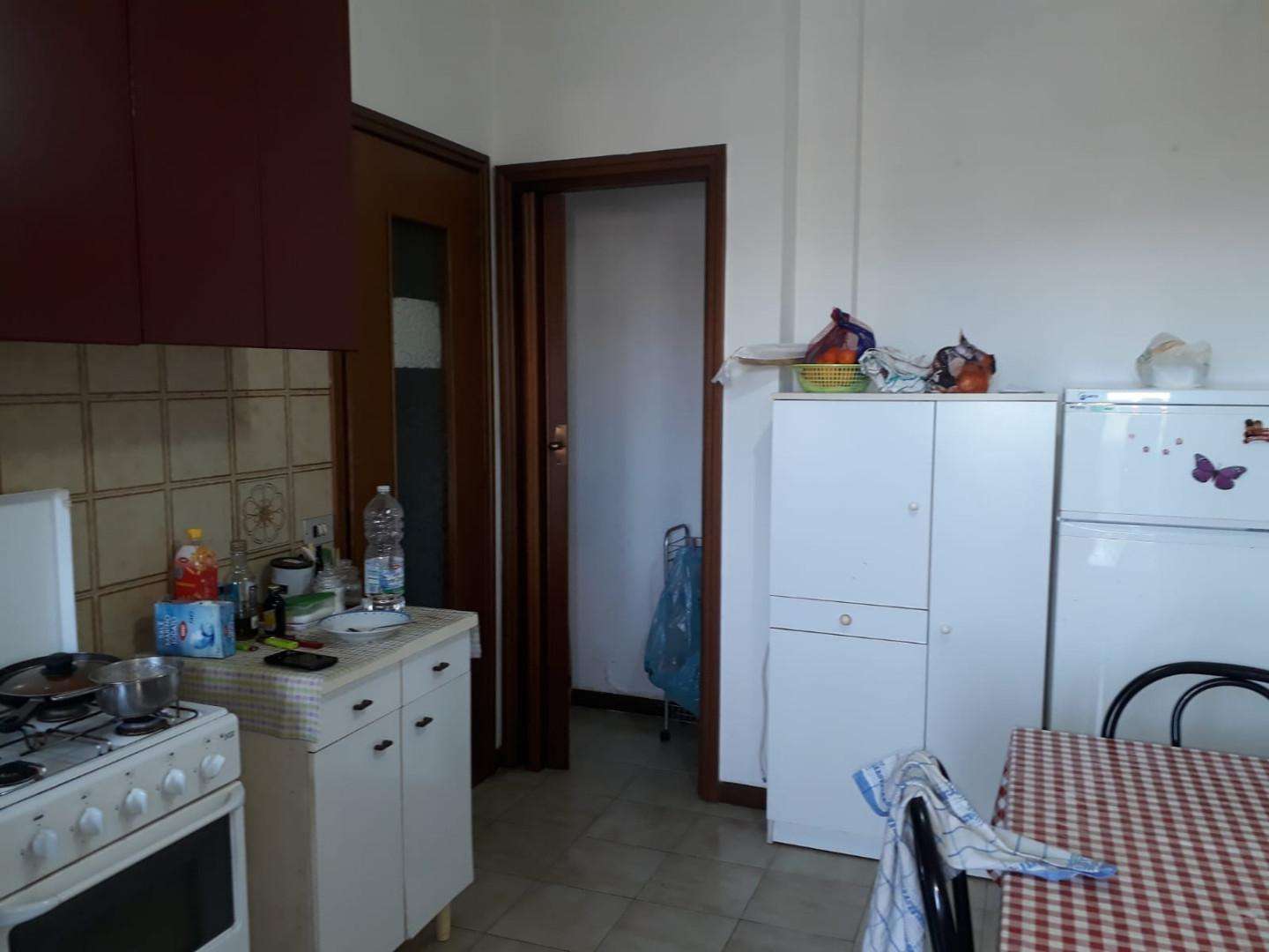 appartamento in affitto a Pisa