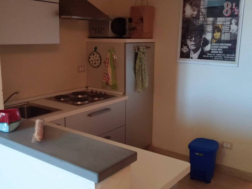 appartamento in affitto a Pisa in zona Lungarni