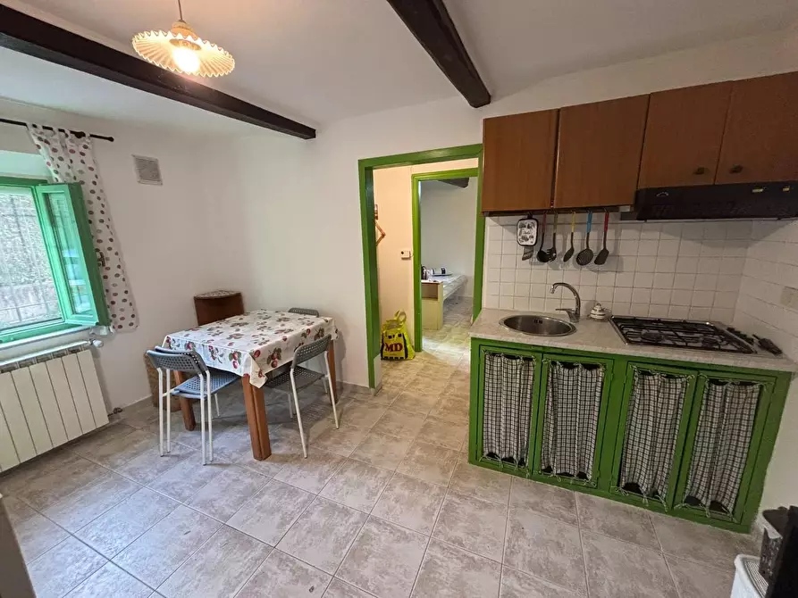 appartamento in affitto a Pisa