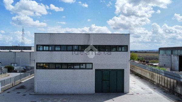 capannone in affitto a Pisa in zona Ospedaletto