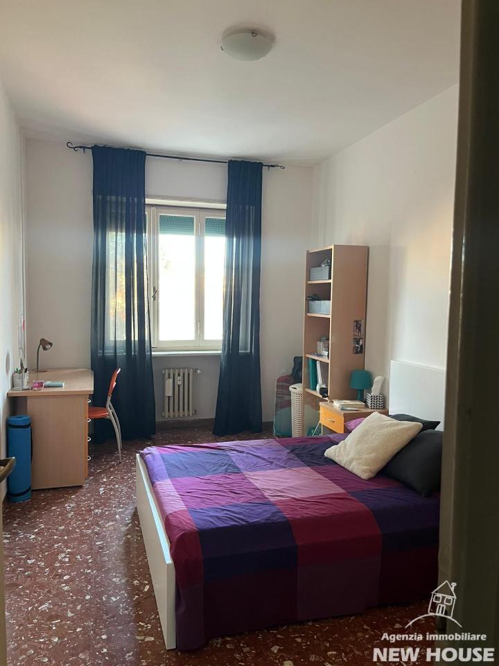 negozio in affitto a Pisa in zona Centro Storico