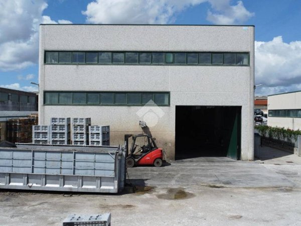 capannone in affitto a Pisa in zona Ospedaletto