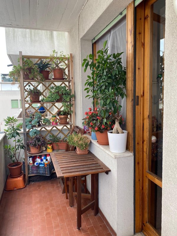 appartamento in affitto a Pisa in zona Pratale / Don Bosco