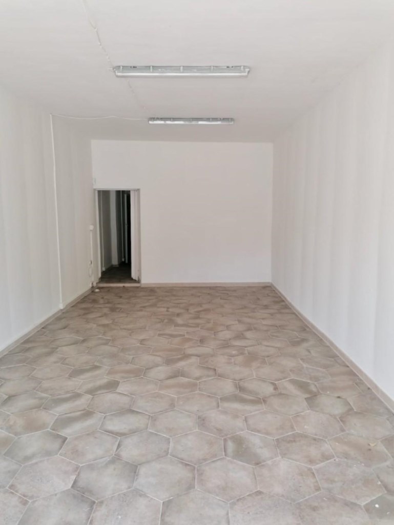 locale commerciale in affitto a Pisa in zona Porta a Lucca