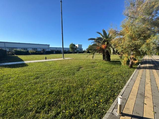 appartamento in affitto a Pisa in zona Calambrone