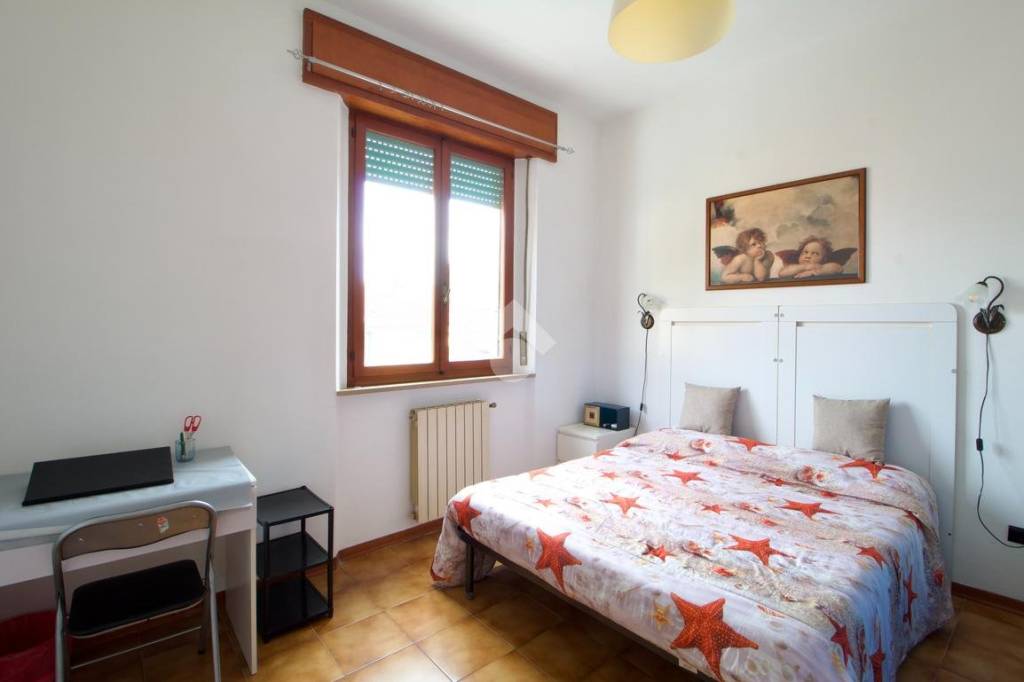 appartamento in affitto a Pisa