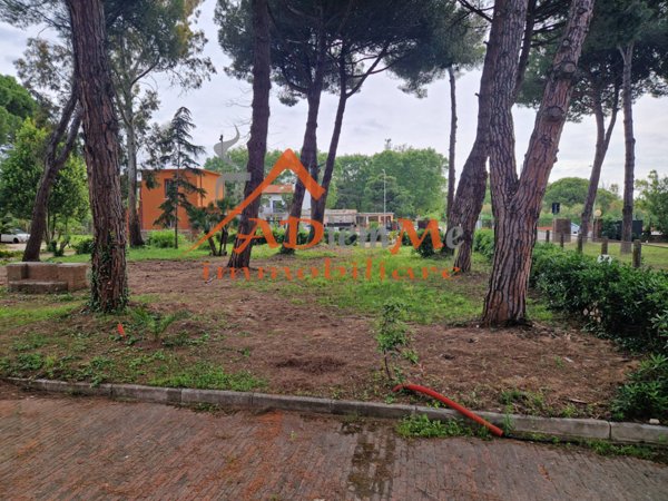 appartamento in affitto a Pisa in zona Calambrone