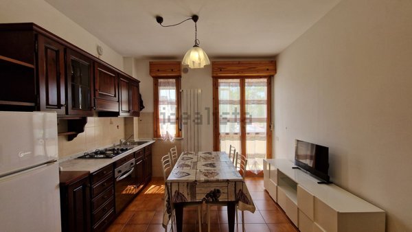 appartamento in affitto a Pisa