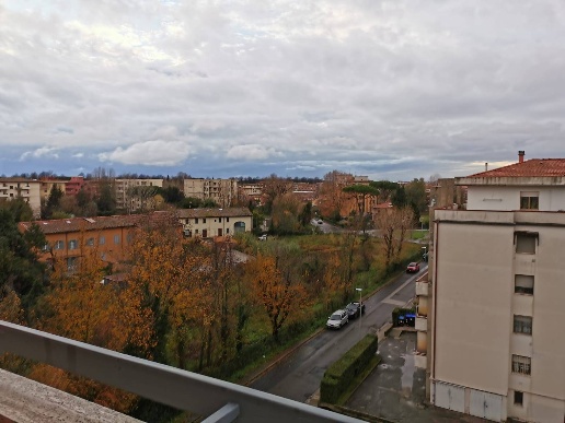 appartamento in affitto a Pisa in zona Cisanello