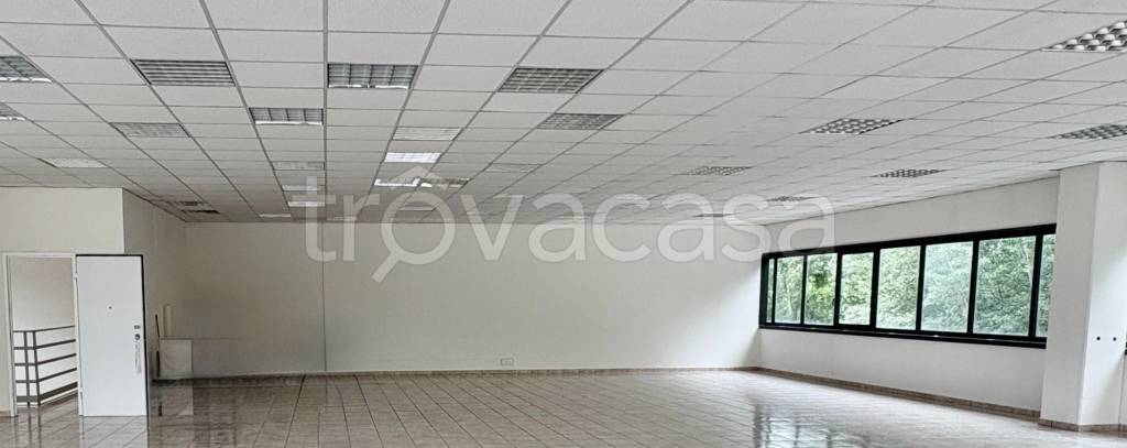 appartamento in affitto a Pisa in zona Ospedaletto