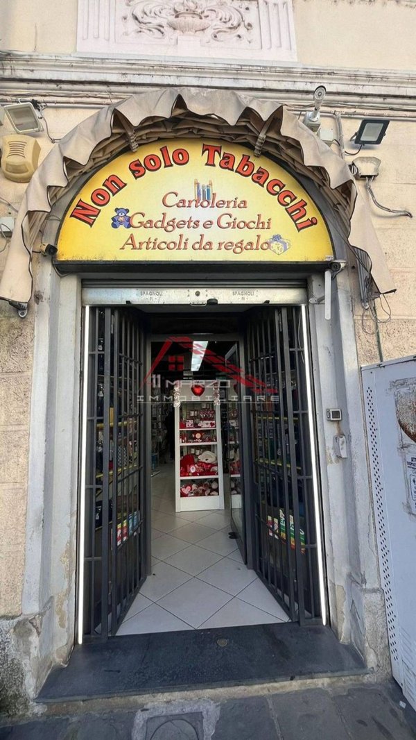 negozio in affitto a Pisa in zona Riglione